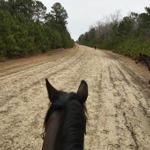 Meet your Posher, Sammie